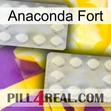 Anaconda Strong 17